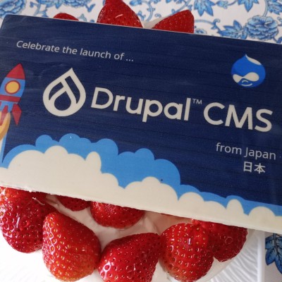 We celebrated the Drupal CMS launch with this cake.